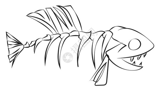 或示显的以孤立白色背景显示张开口像钉牙一样齿的鱼骨架线条艺术插画
