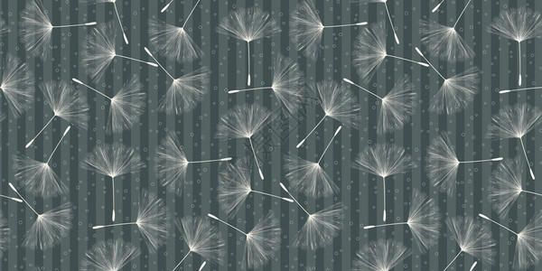 带有dandelion种子的软灰色背景图案设计时超过打印矢量图案图片