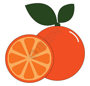 橙色有两片绿叶切橙子矢量彩色画或插图图片