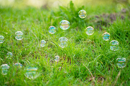 春天透明草地上的肥皂泡背景
