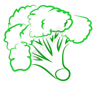 美食事迹插画-美食事迹卡通-白色背景的树枝简单矢量插图上的黑橄榄