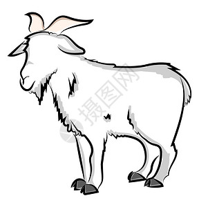 功夫羊山羊图画插白色背景的矢量插画