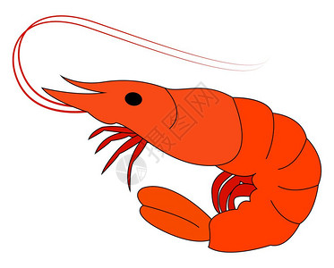 虾之味插画-虾之味卡通-设置情人节和结婚喜剧邮票设置情人节和用爱心