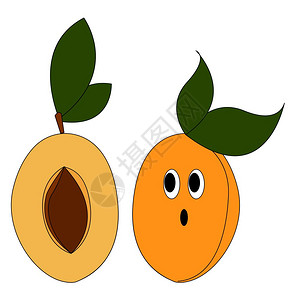 杏子熟白色背景的新鲜杏仁插图矢量插画