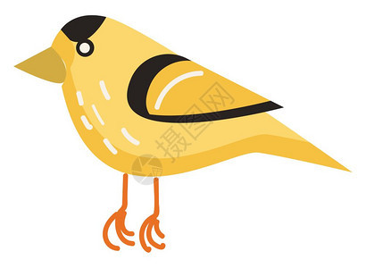 卡通可爱矢量黄色和黑色相间的鸟类图片