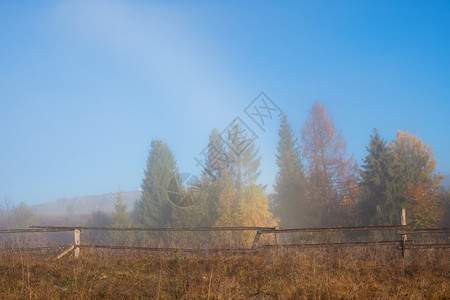 清晨在山中草地的农村斜坡田地和树木在秋叶上美丽的天风景山谷中雾图片