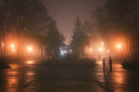 福吉和雨之夜在城市公园图片