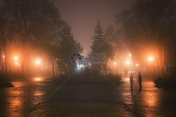 福吉和雨之夜在城市公园图片