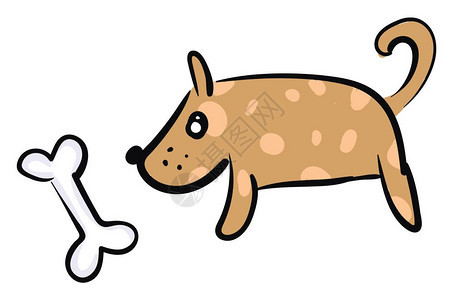 一只有粉色斑点的棕狗正在看一块骨头矢量颜色图画或插图片