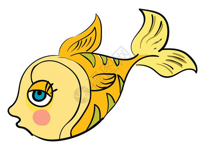 一只金鱼 图片