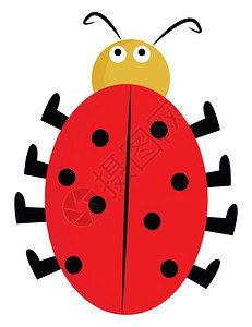 卡通可爱的小圆顶形红甲虫女士颜色的红让人奇怪地看到眼睛矢量的颜色绘画或插图图片