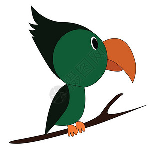 鸟树枝树枝上有一只绿色的图坎鸟有一小块躯体和条很长曲线的纸矢量颜色图画或插插画