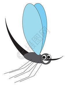 一只卡通笑的小蚊子带蓝色翅膀灰身体和长鼻子的蓝色羽翼正在飞行准备感染某个矢量的彩色绘画或插图图片