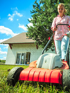 种植照顾家庭后院农业概念女在阳光明媚的白天用草坪修剪绿图片