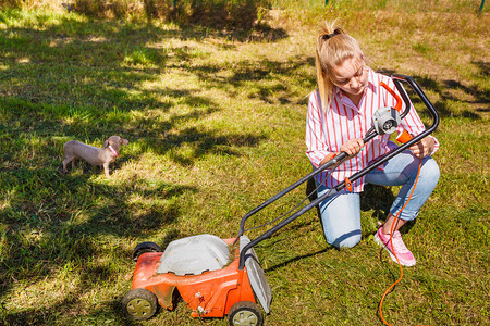 种植照顾家庭后院农业概念女在阳光明媚的白天用草坪修剪绿图片