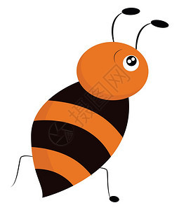 蜜蜂是一种它可以制造蜜刺痛它生活在大型社区叫做蜂巢向量彩色图画或插图片
