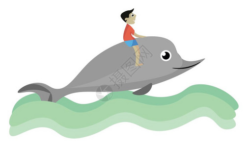 水里的海豚尾巴图片图片