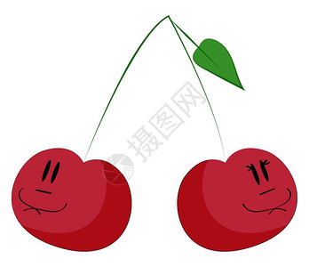 樱桃是一个小的红果子有一块硬石矢量彩色绘画或插图图片