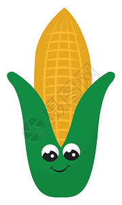 玉米用于指小麦玉米燕和大等作物病媒彩色图画或插背景图片