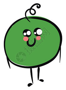 它是一个非常小的圆形绿色蔬菜豆类植物矢量彩色图画或插图片