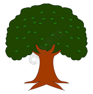 设计喷墨素材大橡树插图白色背景的矢量插画