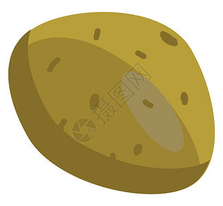 金土豆矢量或颜色插图图片