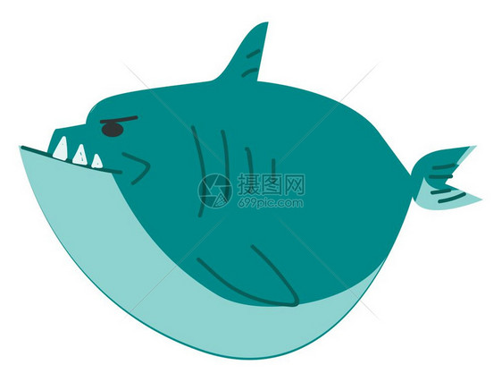手绘卡通胖胖的鲨鱼图片