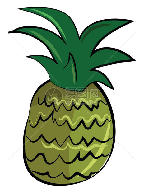 新鲜菠萝矢量插图图片