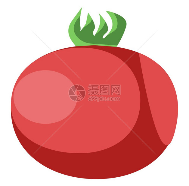 健康新鲜红番茄矢量插图图片