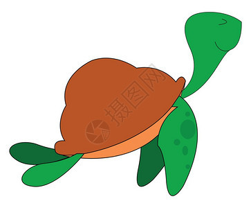 手绘卡通可爱乌龟图片