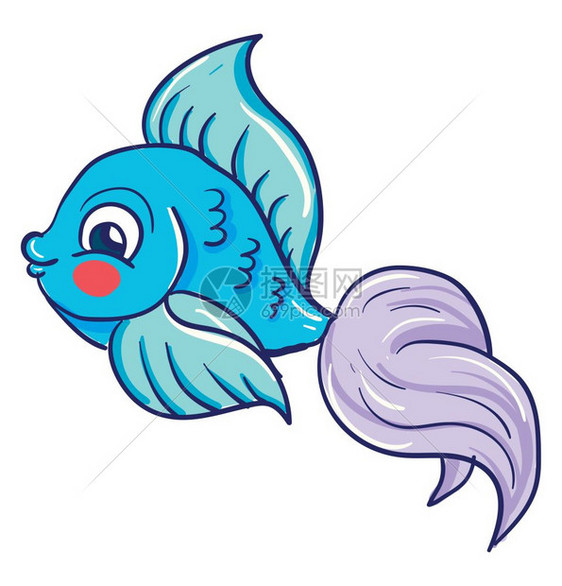 一条漂亮的蓝尾热带鱼图片