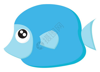 鳃图片 鳃素材 鳃高清图片 摄图网图片下载