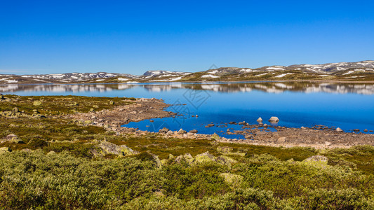 Hardangervidda山脉高原景观全国旅游者Hardangervidda路线挪威夏季图片