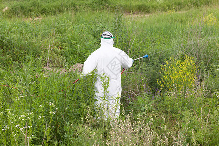 男子身穿防护服在杂草上喷洒除剂图片