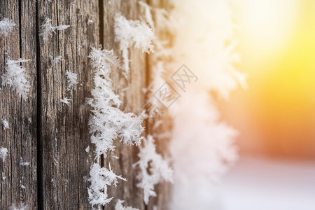 紧贴的冰晶或木针上雪花图片