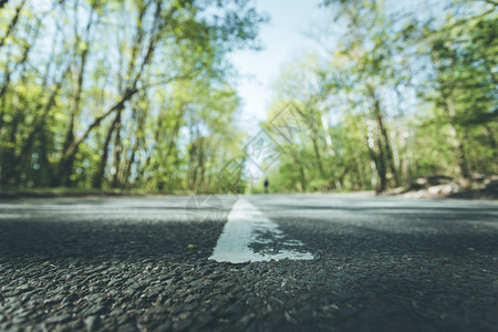 森林中的石灰街道近距离模糊背景图片