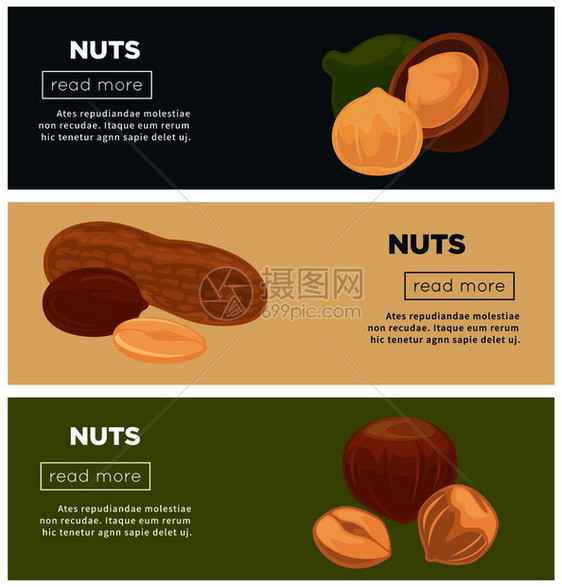 健康营养坚果促进互联网页模板卡通矢量插图图片