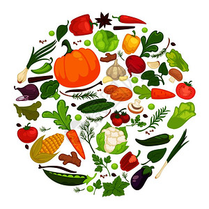 蔬菜有机新鲜健康卷心菜和素食品等健康海报蔬菜香料草或番茄菜花椰豆甜和辣椒有机蔬菜新鲜健康和素食品等健康海报图片