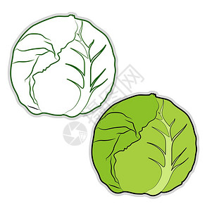 肉沫茄子,插画-肉沫茄子,卡通-水果和蔬菜颜色食品商店包装标志蔬菜