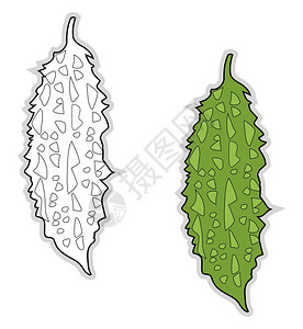 苦芥菜插画_苦芥菜卡通_苦芥菜插图_手绘_板绘_摄图网