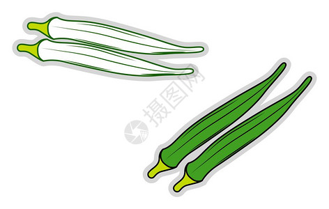 炒韭菜插画-炒韭菜卡通-由煮饭鸡蛋和一帮臭菜组成的美味配有烤猪肉