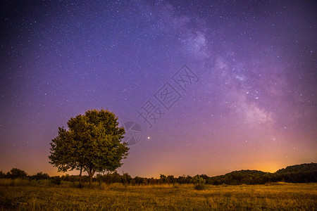 美丽的夜景有星草地和一棵树温暖的紫色图片