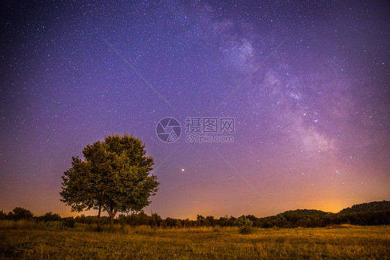 美丽的夜景有星草地和一棵树温暖的紫色图片