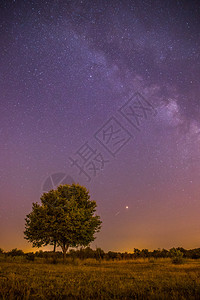 美丽的夜景有星草地和一棵树温暖的紫色图片