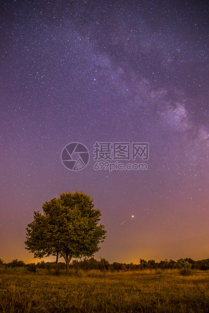 美丽的夜景有星草地和一棵树温暖的紫色图片