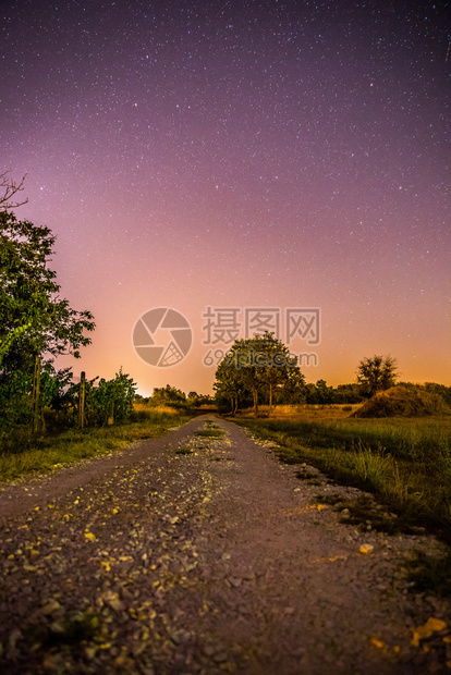 美丽的夜景有星草地和一棵树温暖的紫色图片