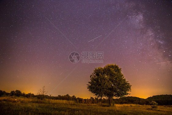 紫色夜空下草地和树图片