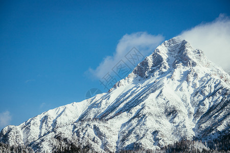 寒冬风景阿尔卑斯山奥特里亚图片