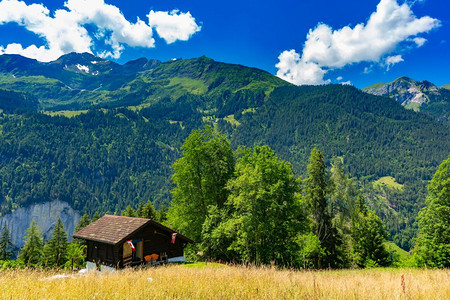 瑞士伯尔尼斯奥兰市瑞士阿尔卑斯山的孤单房屋图片