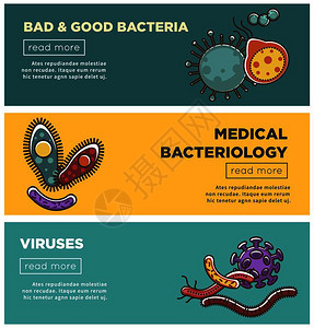 坏菌和好细有害和医学细菌信息宣传海报模板图片